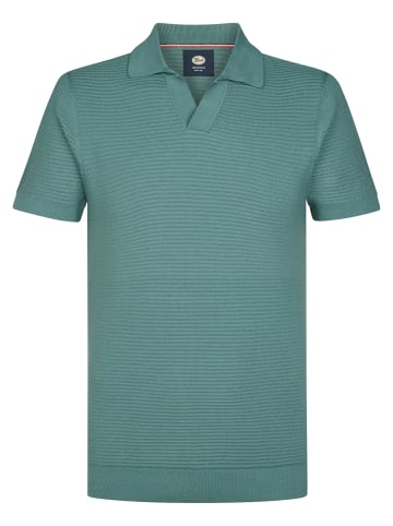 Petrol Industries Strick-Poloshirt Delfín in Grün