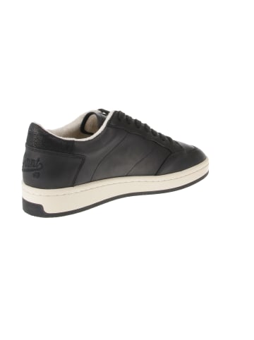 Gant Sneaker low Prepus in Schwarz