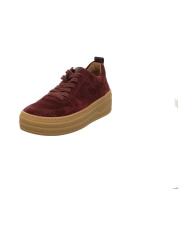 Gabor Schnürschuhe in bordo