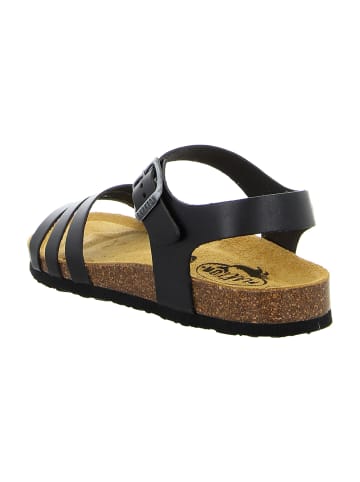 Plakton Sandalen in Schwarz