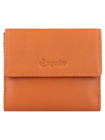 Esquire Peru Geldbörse RFID Leder 10 cm in cognac