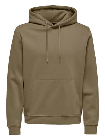 ONLY & SONS Sweatshirt / Hoodie Connor in Caribou