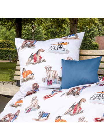 Janine Bettwäsche 42169-09 in multicolor