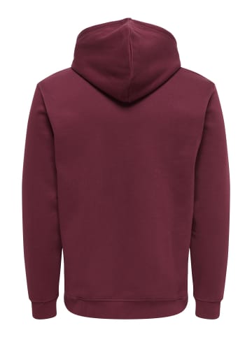 ONLY & SONS Kapuzenpullover in Port Royale