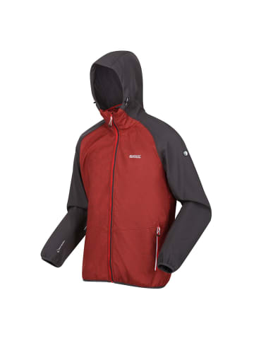 Regatta Softshelljacke Arec III in SevlMrl/SiGr
