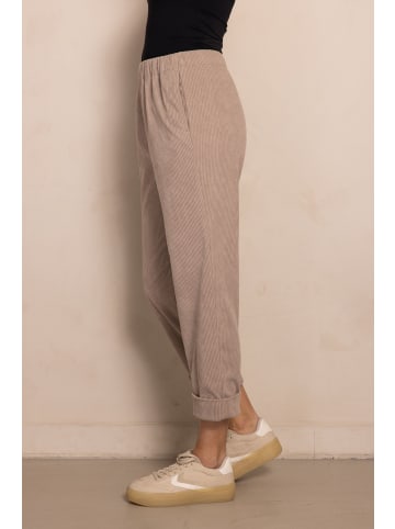 ZHRILL Hosen ZHPIA TAUPE in TAUPE