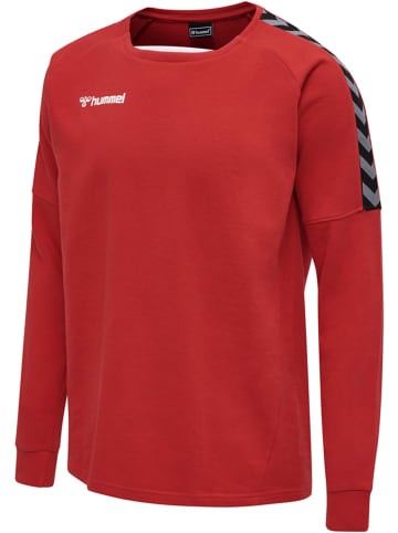 Hummel Sweatshirt Raglanärmel Hmlauthentic Herren in TRUE RED