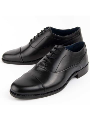 Purapiel Schnürschuhe Dario2 in Schwarz
