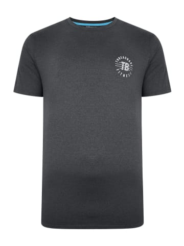 Threadbare T-Shirt Tricep in Grau