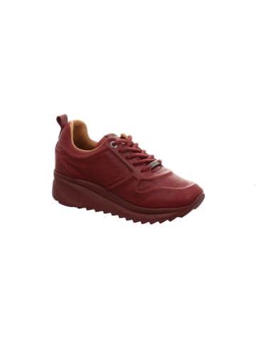 CARMELA Sneaker in rot