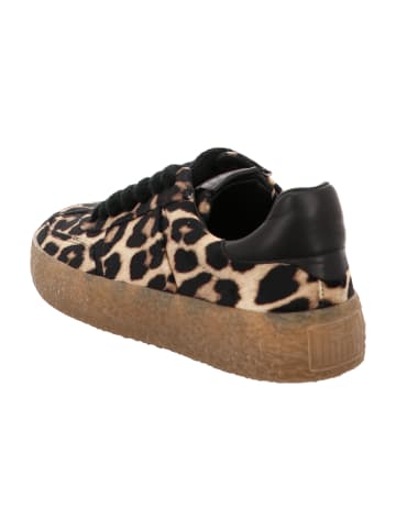 Kennel & Schmenger Sneaker Low in Animal