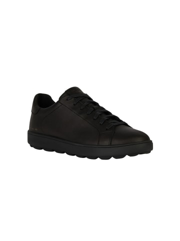 Geox Sneakers Low U Spherica Ecub-1 C-Nappa in schwarz
