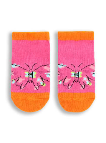 Coccodrillo Socken in bunt