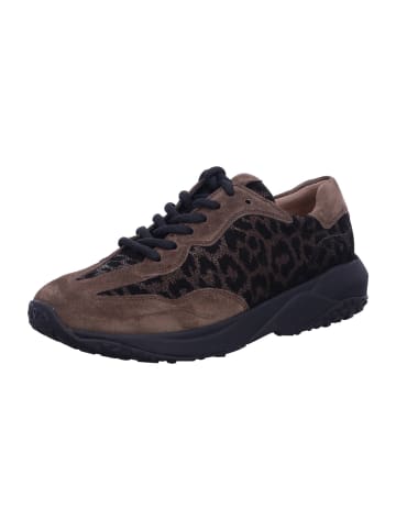 Paul Green Sneaker Low in braun