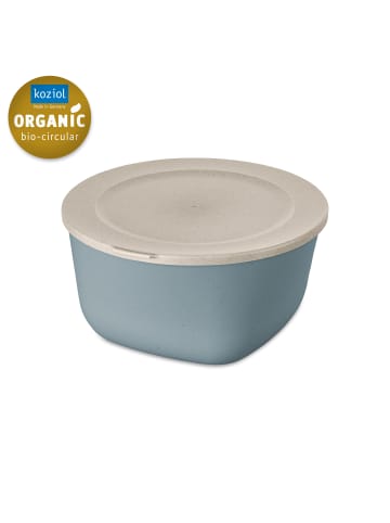 koziol CONNECT BOX 4 - Box mit Deckel 4l in nature flower blue