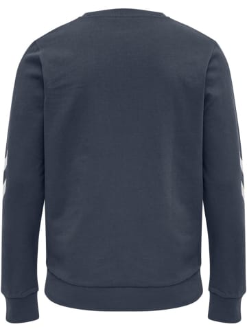 Hummel Hoodie in Blau