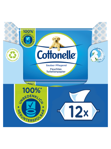 Cottonelle Feuchtes Toilettenpapier Mizellenwasser & Baumwollduft 12 x 42 Stk