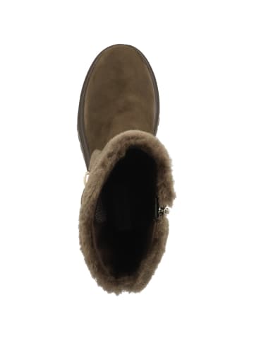 Steve Madden Boots Lodge in braun