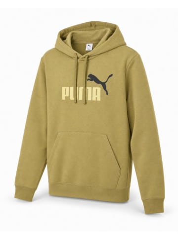 Puma Sweatshirt in bunt