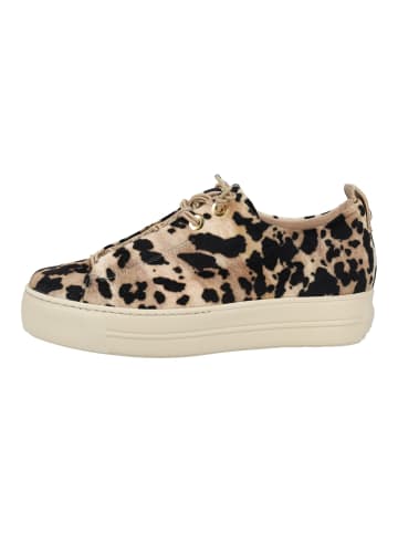 Paul Green Sneaker in Leopard