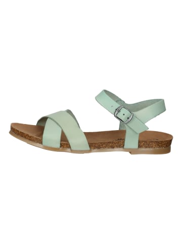 Cosmos Comfort Sandalen in Mint