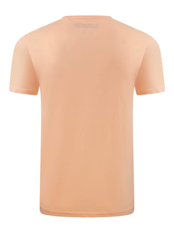riverso  T-Shirt RIVAaron O-Neck in Orange