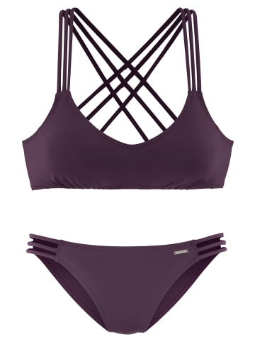 Bruno Banani Bustier-Bikini in bordeaux