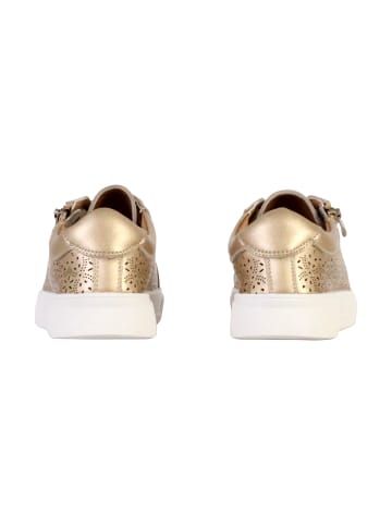 Divine Factory Alenoa Leder Tennisschuhe Gold