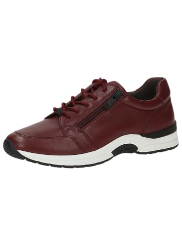 Caprice Sneaker in BORDEAUX NAPPA