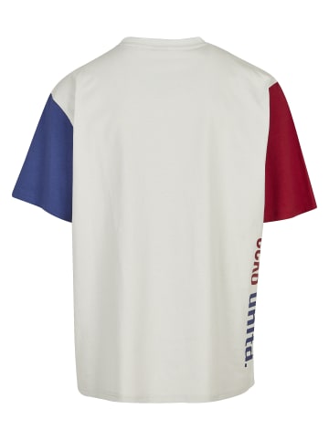 Ecko Unltd. T-Shirt in grey/red/blue