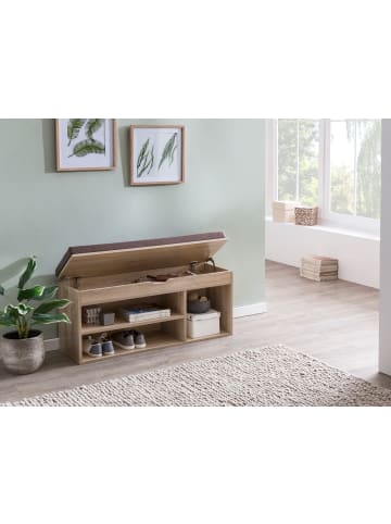 FineBuy Schuhschrank in Grau / Spanplatte / 104x32x51