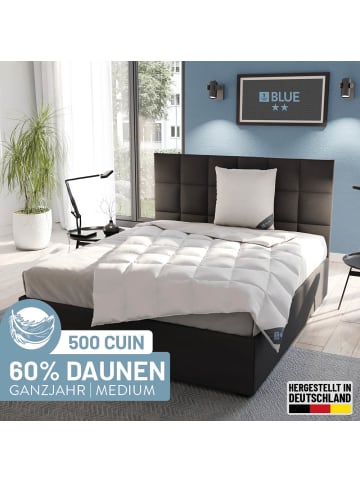 Spessarttraum Leichte Ganzjahres-Daunendecke "Blue" in weiß