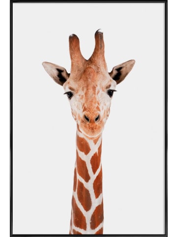 Juniqe Poster in Kunststoffrahmen "Giraffe" in Braun & Weiß