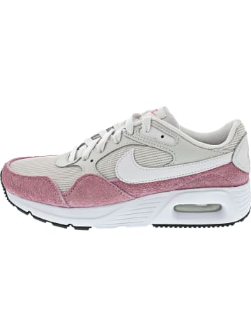 Nike Air Max SC Sneaker Grau