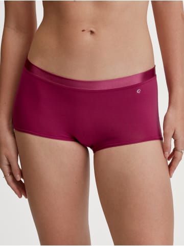 Calida Panty in dahlia pink