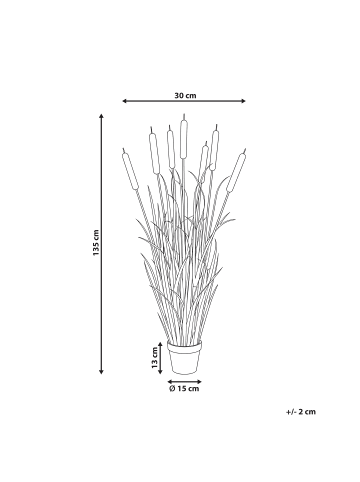 Beliani Kunstpflanze BULRUSH in Grün/Braun - (W) 30 x (H) 135 x (L) 30 cm