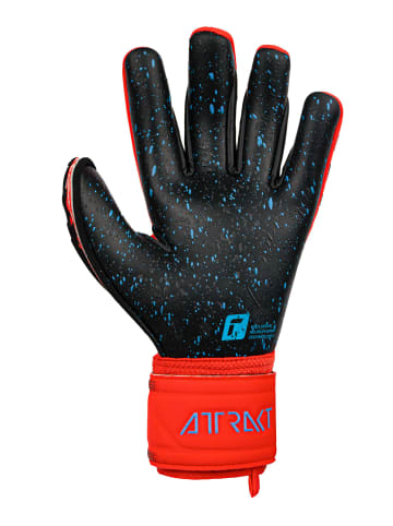 Reusch Torwarthandschuhe Attrakt Freegel Fusion Goaliator in 3333  red/blu/blck