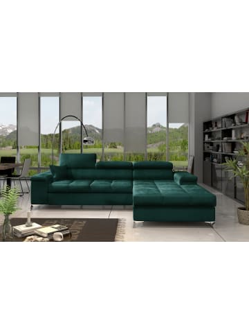 MF Design Ricky Recamiere Rechts in Flaschengrün -  (L) 205 x (B) 281 x (H) 88 cm