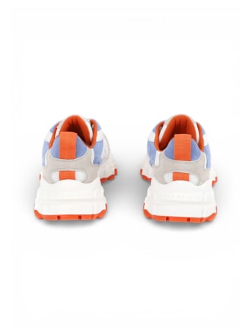 Apple of Eden Sneaker NANTES in CORNFLOWER-ORANGE