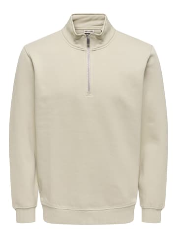 ONLY & SONS Sweatshirt in Silver Lining