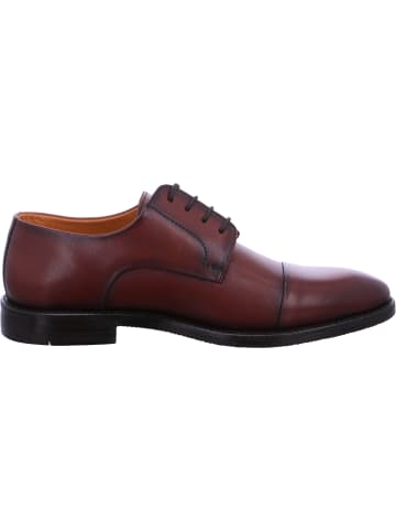 DIGEL Business Schuh Stan in Braun