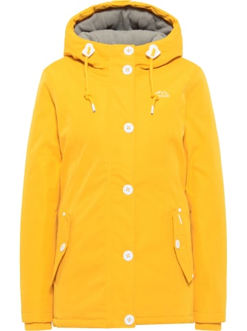 ICEBOUND Winterjacke in Senf