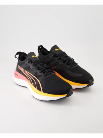 Puma Sneaker low in Schwarz