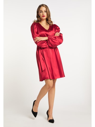 faina Kleid in Rot