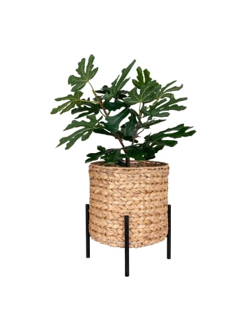 House Nordic Blumentopf PLANTER Wasserhyazinthe mit Metall Füssen 26 cm