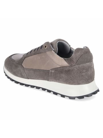 Bullboxer Sneaker in grey