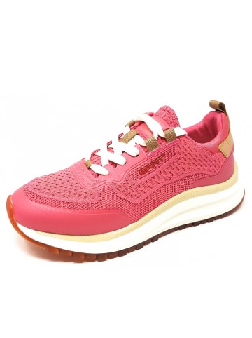 Gant Sneaker Trazyn in Pink