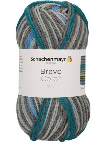 Schachenmayr since 1822 Handstrickgarne Bravo Color, 50g in Stein