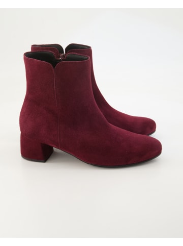 Gabor Klassische Stiefeletten in Bordeaux