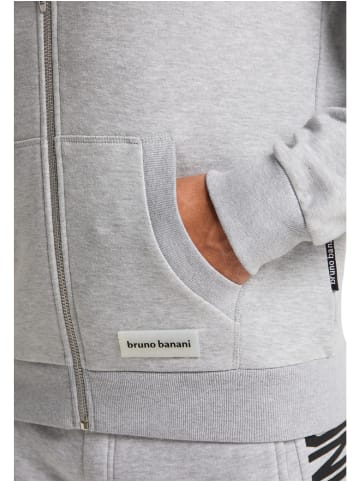 Bruno Banani Kapuzensweatjacke EVANS in Grau / Melange